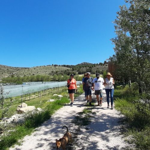 disfruta (6)